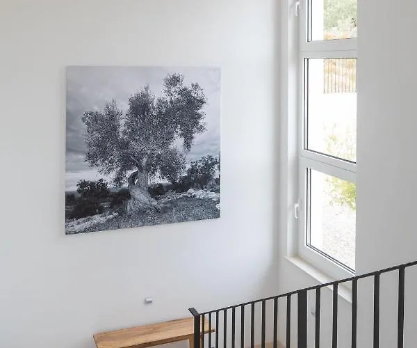 Luxury Vespera * Makarska